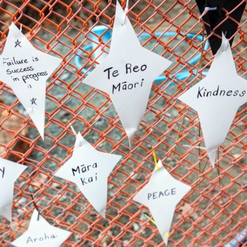 Picture by Tim Cuff - 23 July 2026 - MakeShift Spaces artworks in Bridge Street, Nelson, New Zealand: