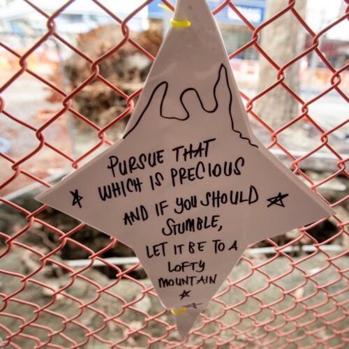 Picture by Tim Cuff - 23 July 2026 - MakeShift Spaces artworks in Bridge Street, Nelson, New Zealand: