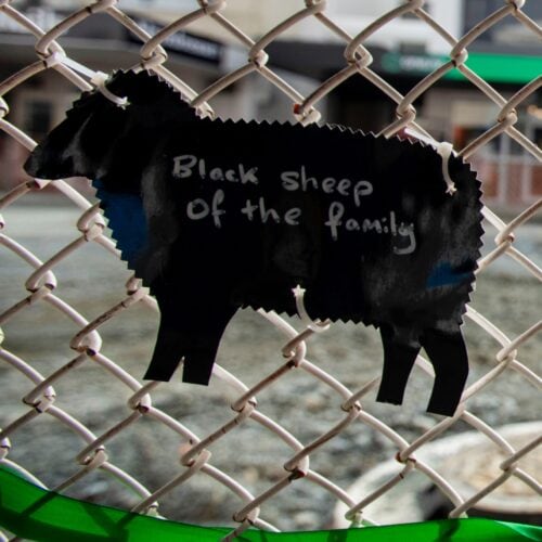 Picture by Tim Cuff - 23 July 2026 - MakeShift Spaces artworks in Bridge Street, Nelson, New Zealand: