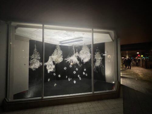 Matariki_01 web