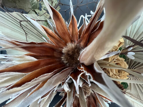 āwhio detail 2 web